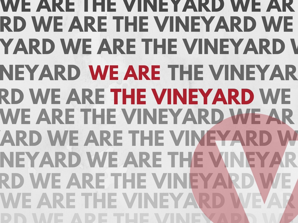 WE ARE THE VINEYARD(1)